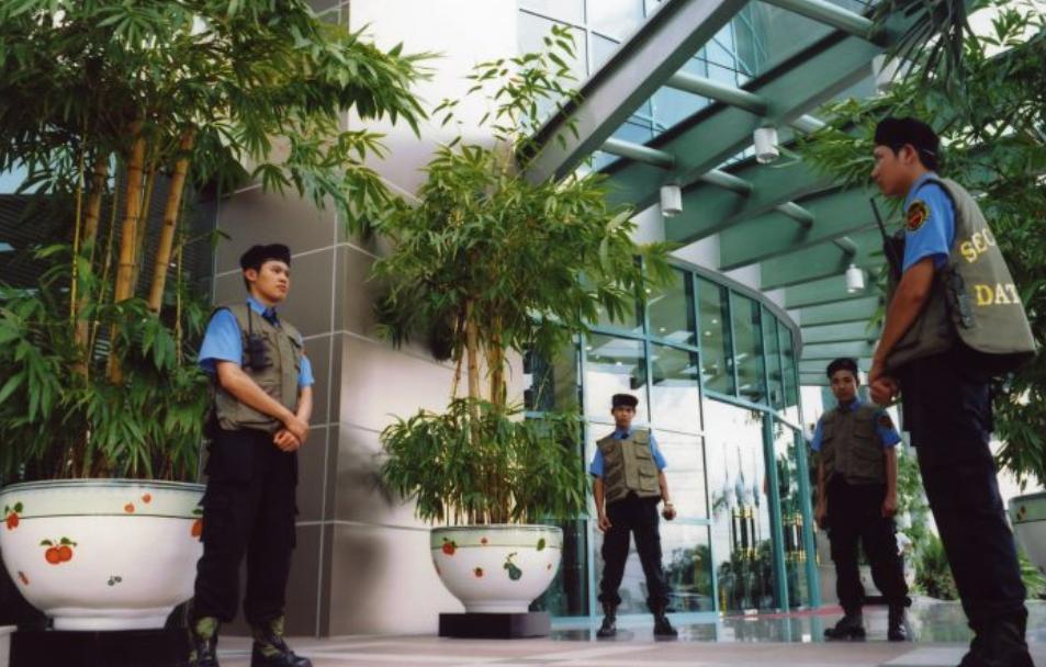 Công ty Bảo vệ Đất Việt